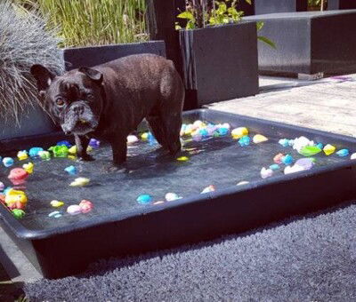 Plastbakker sorte-100x100x12 cm