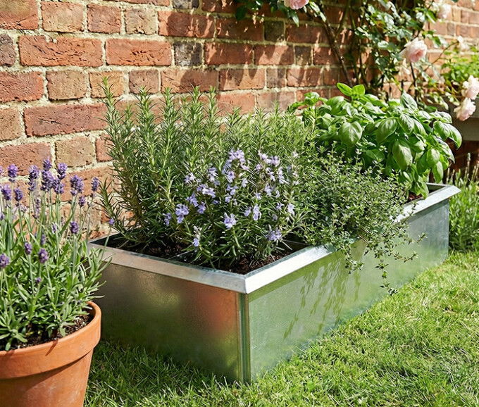 Højbede sæt med sneglekant galvaniseret til krydderurter