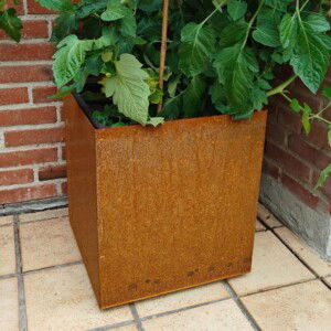 Corten stål skjuler på hjul til en plant growers